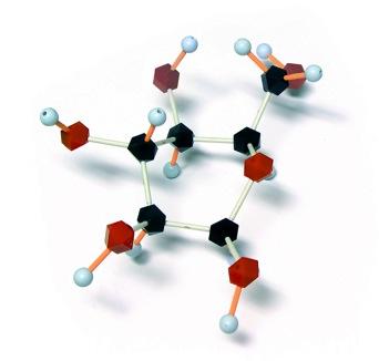 Chemical Formula a single molecule of water a single molecule of glucose C 6 H 12 O 6 Key: