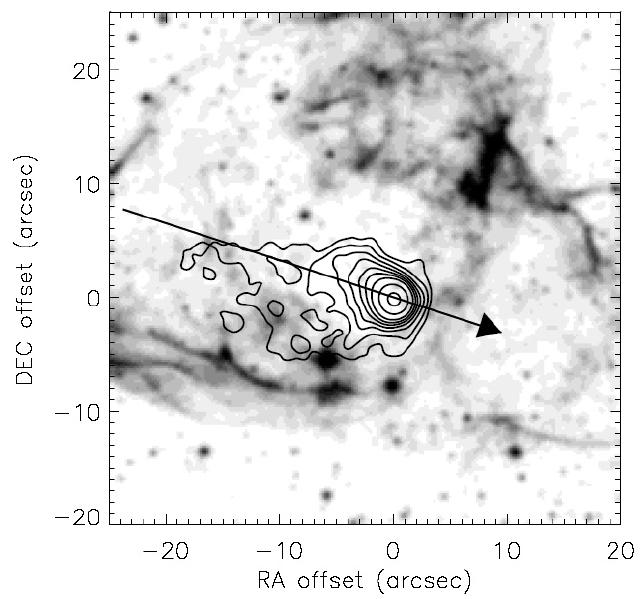 PSR B1951+32 / CTB 80 A different pulsar than Crab 100 times older (~10 5 years) 10 times lower surface magnetic field (~5x10 11 G) moves 2 times faster through ISM (240km/s) 100 times lower spin