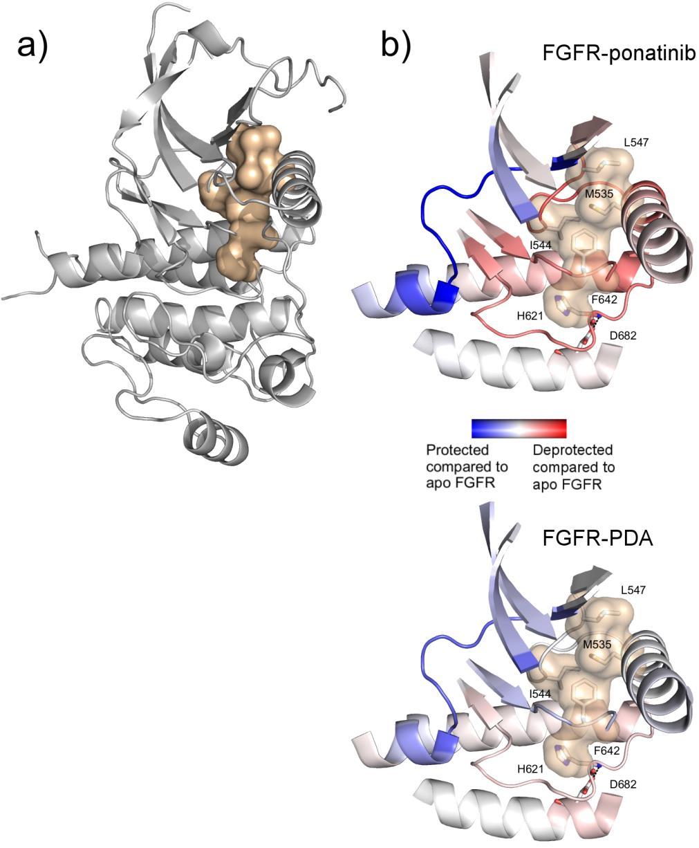 Supplementary Figure 9 Regulatory (R) spine solvent exposure in response to binding of ponatinib or PDA.