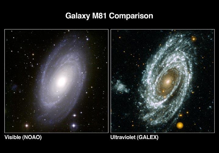 Galaxies in other