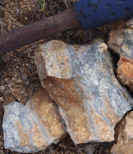 Discovery of intrusion related gold mineralisation at Mt Brady with initial drilling - 1m @ 17.5g/t Au and 2.