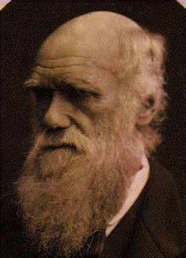 Natural Selection Portrait of Charles Darwin