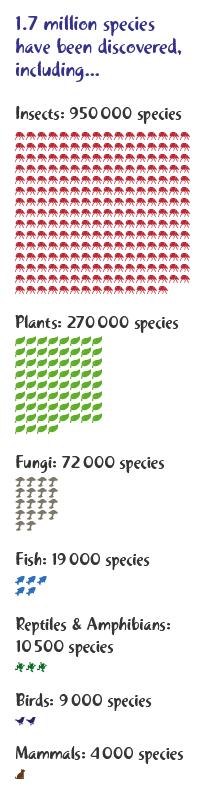 Diversity on Earth Many different kinds of organisms Each is suited for