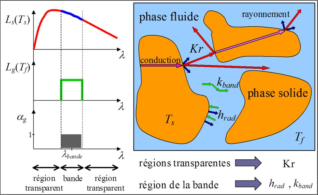 High temperature T&H modeling of a molten salt: application to a MSFR 32 Numerical Modeling Triple coupling (Neutronics, Thermo-hydraulics and Thermomechanics) Coupled heat transfer mechanisms in