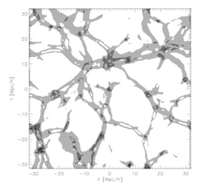(ii) galaxy formation will be investigated in regard to unprecedented velocity-cosmic-web s 6D phase-space; Cosmic- web components (voids, filaments, sheets, and knots in white, light gray, dark