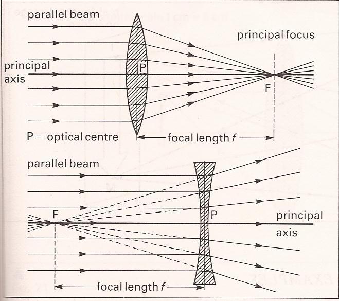 Lenses A lens is any glass, plastic or transparent refractive medium with two opposite faces, and at least one of the faces must be curved. Types of Lenses There are two types of basic lenses. (1.