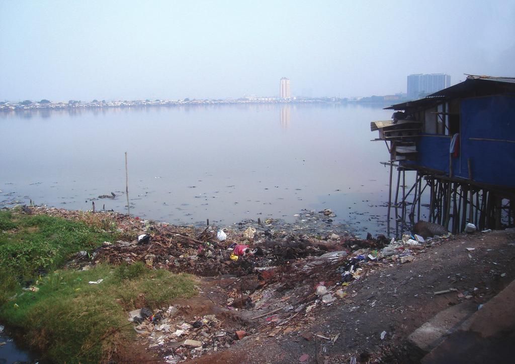 There are various ways in which pollution can impact coastal areas.