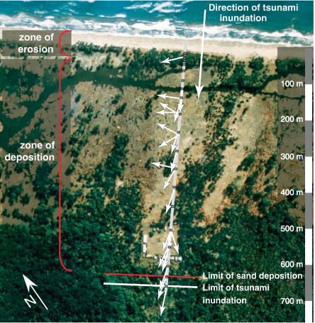 AN EXAMPLE OF EROSION ENVIRONMENT FROM THE IMAGE ON THE RIGHT WE SEE HOW THE TSUNAMI IS ABLE TO ENTRAIN SEDIMENT ON THE BEACH SURFACE AND