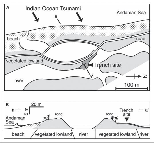 CASE STUDY 1: 2004 INDIAN OCEAN AFTER THE TSUNAMI TOOK PLACE, A TRENCH WAS DUG ON THE COAST OF SOUTHWEST THAILAND TO STUDY THE DEPOSITS SCIENTISTS FOUND THAT THE 30-40CM THICK DEPOSIT WAS COMPOSED OF