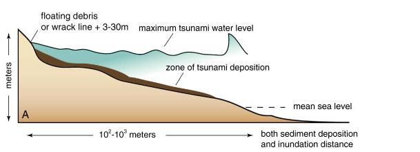 IDEALIZED DEPOSITS MOST TSUNAMI SAND DEPOSITS ARE <25CM THICK, AND TYPICALLY HAVE A BROAD, THIN GEOMETRY BECAUSE INUNDATION