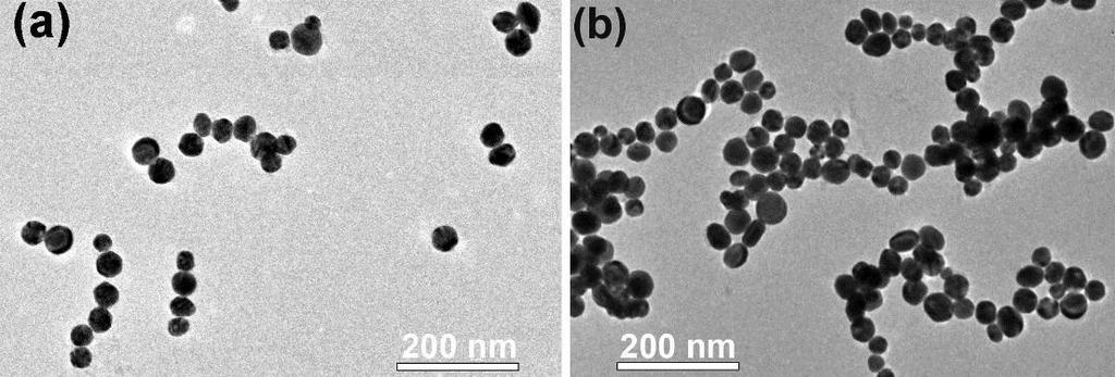 Influence of Cl - anions on self-assembly of the CTA + capped Au nanoparticles: Influence of negative charges on the self-assembly of the CTA + capped Au nanoparticles was also evaluated by titrating