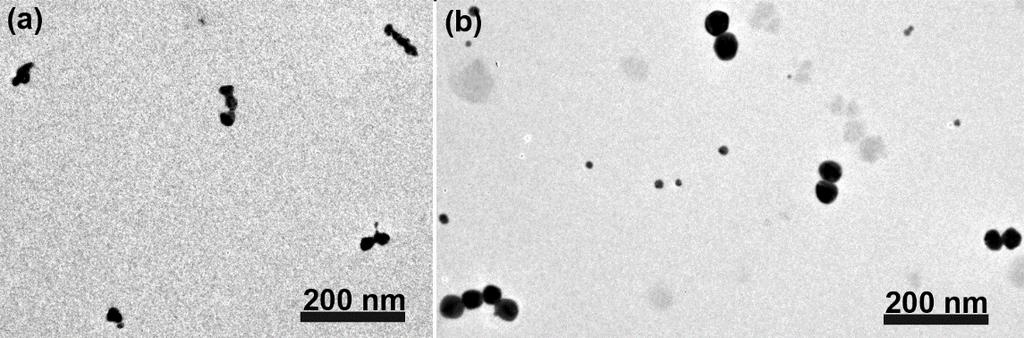 Ex-situ characterization of the assembled Au naonparticles: The liquid cell used to record movie S3 was disassembled after the in-situ experiment.