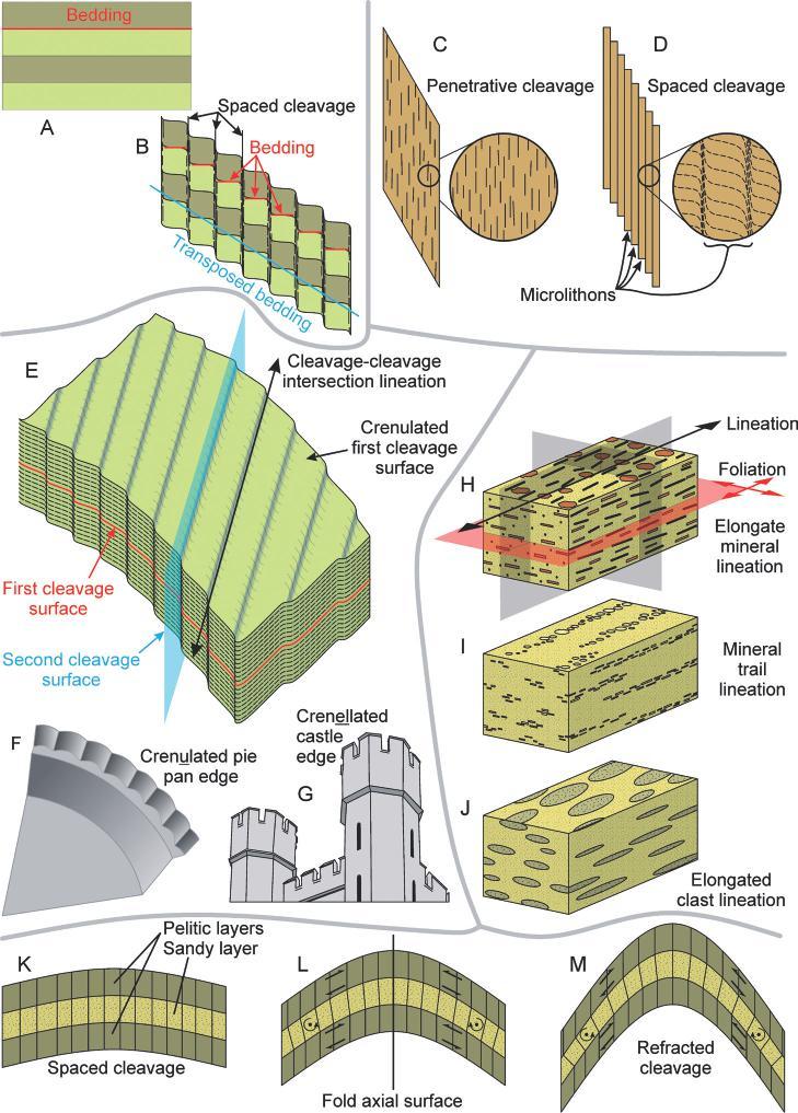 Figure 15.1 Schematic examples of cleavage and lineation. A) Bedding in a sequence of layered sedimentary or volcanic rocks, that are then metamorphosed and deformed by a spaced cleavage.