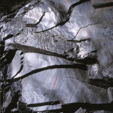 154 A pictorial guide to metamorphic rocks in the field Figure 15.7 Foliation and cleavage surface in muscovite biotite schist, reflecting the sunlight.