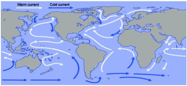 26.2 Convection Currents Much of the Earth s climate