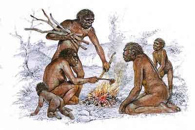 Homo erectus 280 individual fossils