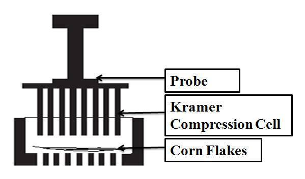 Figure 4.4. Scheme of the Kramer compression cell (based on Chaunier and others 2005 