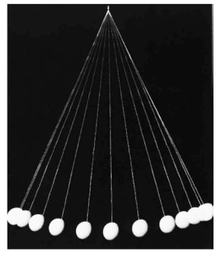 The Simple Pendulum A simple pendulum consists of a mass at the end of a lightweight cord.