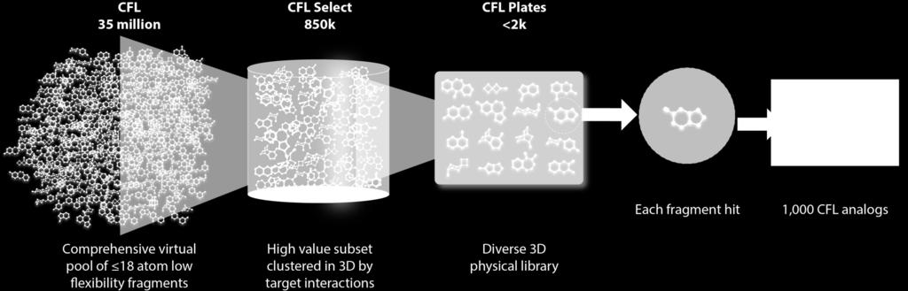 Improved Fragment Screening Leap-to-Lead provides access to new chemical matter through its 3D enabled fragment screening set, the Comprehensive Fragment Library CFL designed