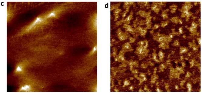 Supplementary Figure 14 (a, b) AFM images taken on the 2D boron on Ag(111) surface in air. (c, d) AFM images taken on Ag(111) surface in air.