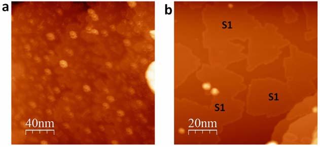 1. 2D boron grown on Ag(111) under different substrate temperatures Supplementary Figure 1 Scanning tunneling microscopy (STM) images taken on the 2D boron on Ag(111) surface under different