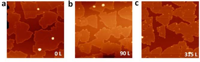 6. Oxidization of 2D boron Supplementary Figure 6 STM images of 2D boron sheets on Ag(111) surface after oxygen gas dose of (a) 0 L, (b) 90 L, (c) 315 L, (d) 630 L, (e) 945 L, and (f) 1620 L.