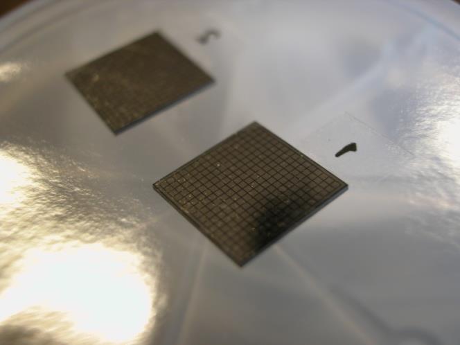 256-pixel detector (625 µm