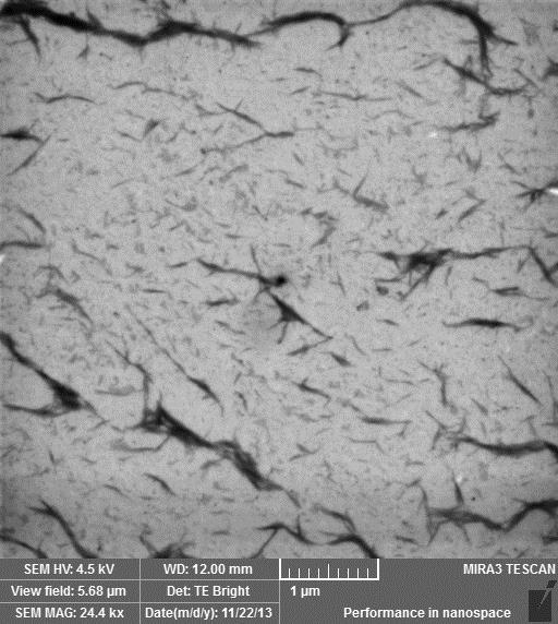 Scanning Transmission Electron Microscopy (STEM) STEM picture reveals that cellulose nanowhiskers have a high surface