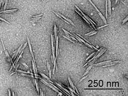Nanowhiskers Nanowhiskers are defined as the nanocellulose with diameters ranging from 2 nm to 20 nm and length ranging from 100 nm to 2.