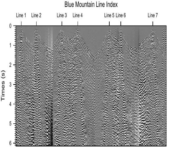 (a) Industry processed example Blue Mountain seismic data.