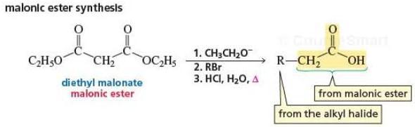 19.19 Carboxylic Acids with a Carbonyl Group at the 3-Position can be Decarboxylated Decarboxylation loss of CO 2 molecule 3-Oxocarboxylic acids decarboxylate when heated.