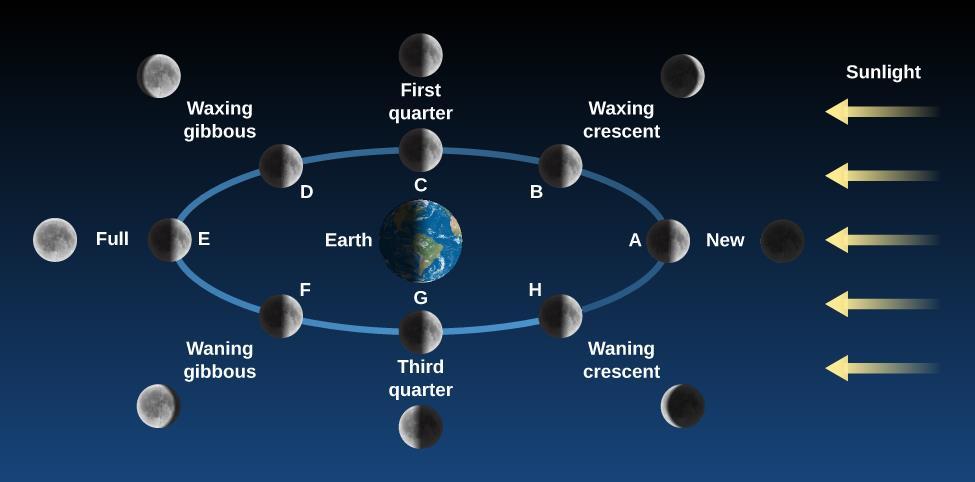 Phases of the moon due to the relative