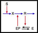 Substrate-Depletion Oscillations" R is produced in