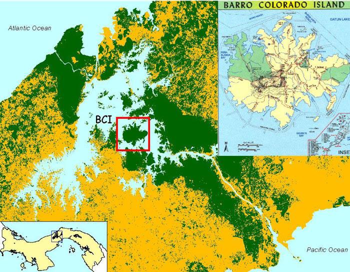 Panama basin regional abundance data Since 1994, over 50 one- hectare plots and smaller have been established in the Panama Canal watershed. P½n 1 ;...; 1;...; n S jjšs¼ P½n 1 ;.