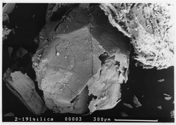 exceeds 100 mg/l [8]. In a non-stirred reactor the silica starts to precipitate close to the dissolve olivine grains. Figure 2. A.