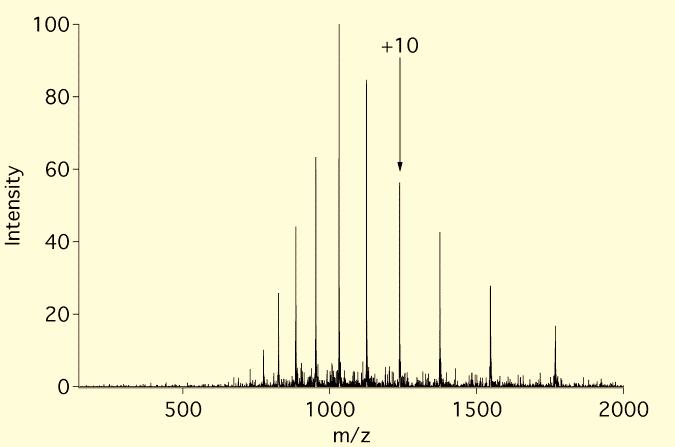 The singly deprotonated BTCA species at 253 m/z and a doubly deprotonated BTCA - tetraheptylammonium cation adduct at 662 m/z dominate the negative ion mass spectrum.