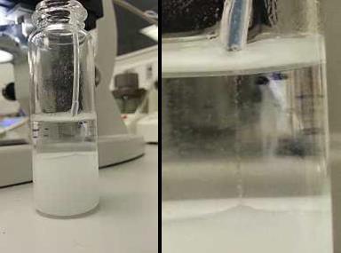 Left: Outlet tubing from chip dips into the collection fluid. Right: Droplets exiting tubing, falling through the aqueous phase, and collecting at the bottom of the vial.