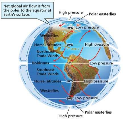 Trade Winds trade wind prevailing winds that blow from east to west from 30º latitude to the equator in both hemispheres Like all winds, trade winds are named according to the direction from which