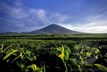 LIVING NEAR VOLCANOES Benefits of Living Near Volcanoes Believe it or not there are benefits.