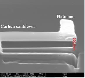Carbon Cantilever