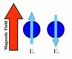 Magnetic Quantum Number and Spin