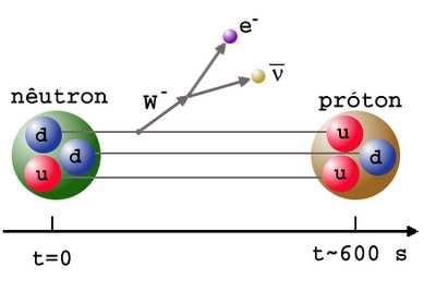 Neutron decay With the standard model we can now also describe what happens to a free nutron: A