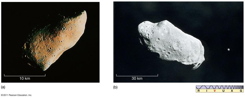 14.1 Asteroids Two small S-type asteroids, Gaspra and Ida, were visited by the Galileo probe. Gaspra (left) is in false color; it is really gray. Note that Ida (right) has a small moon, Dactyl.