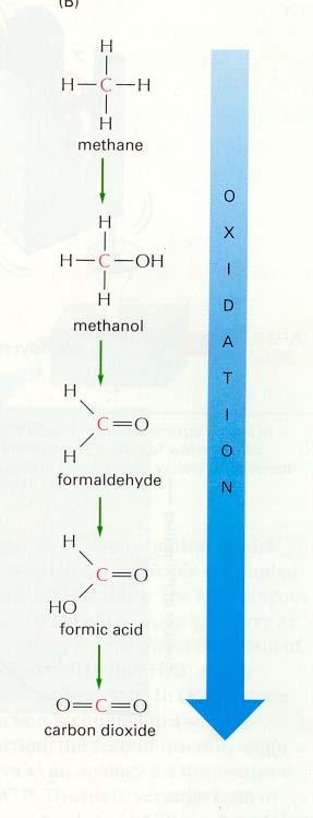 Reduced atom energy Oxidized Each of these