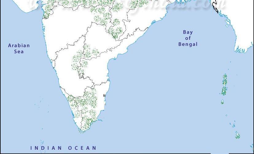 Occur in all states except parts of J. & K. and deserts of Rajasthan Madhya Pradesh Maximum bamboo area (20.
