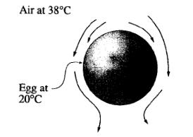 Example 1 What i the temperature of the egg after 60min? Figure 5. Schematic for Example 1.