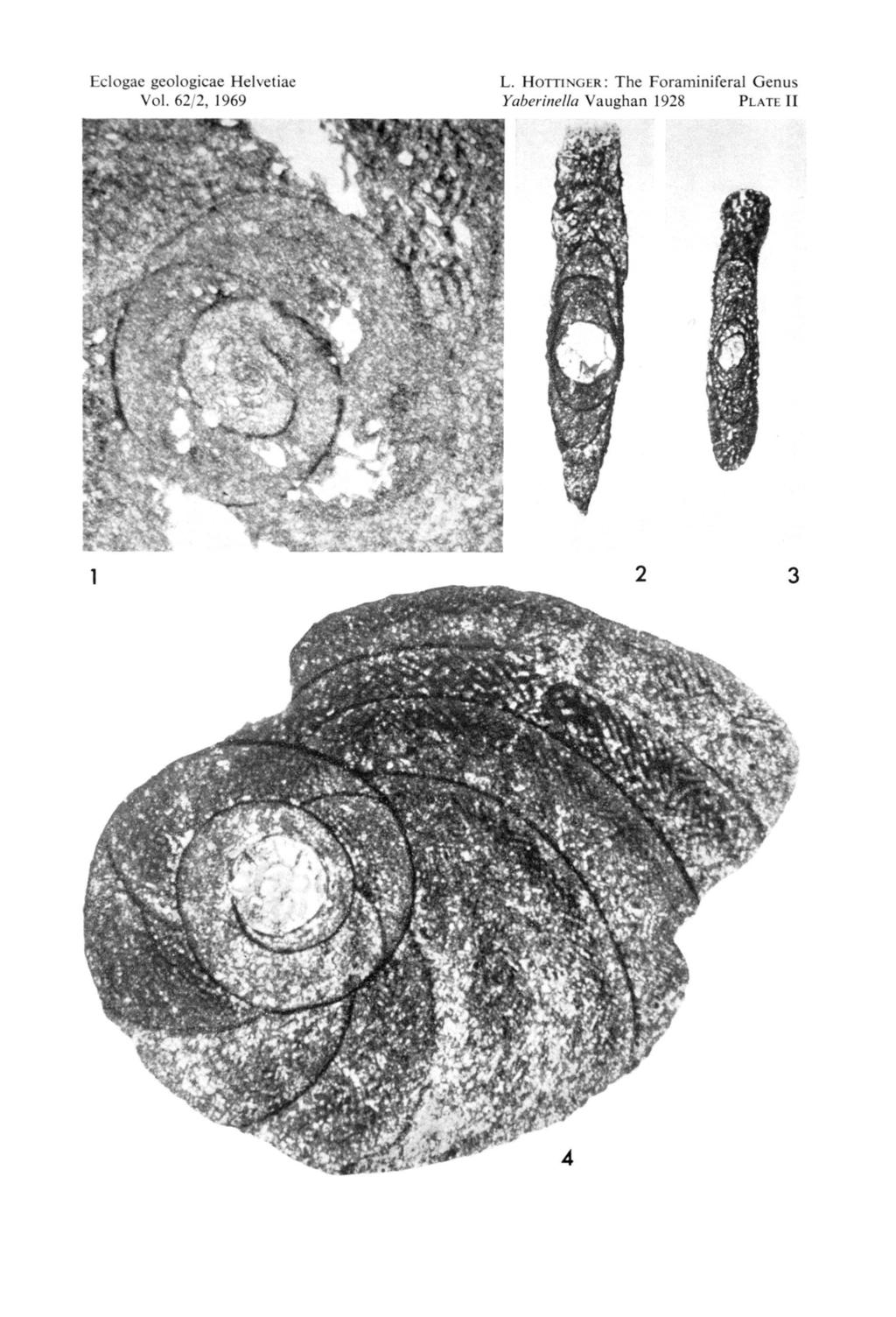 Eclogae geologicae Helvetiae Vol. 62/2, 1969 ; «L.