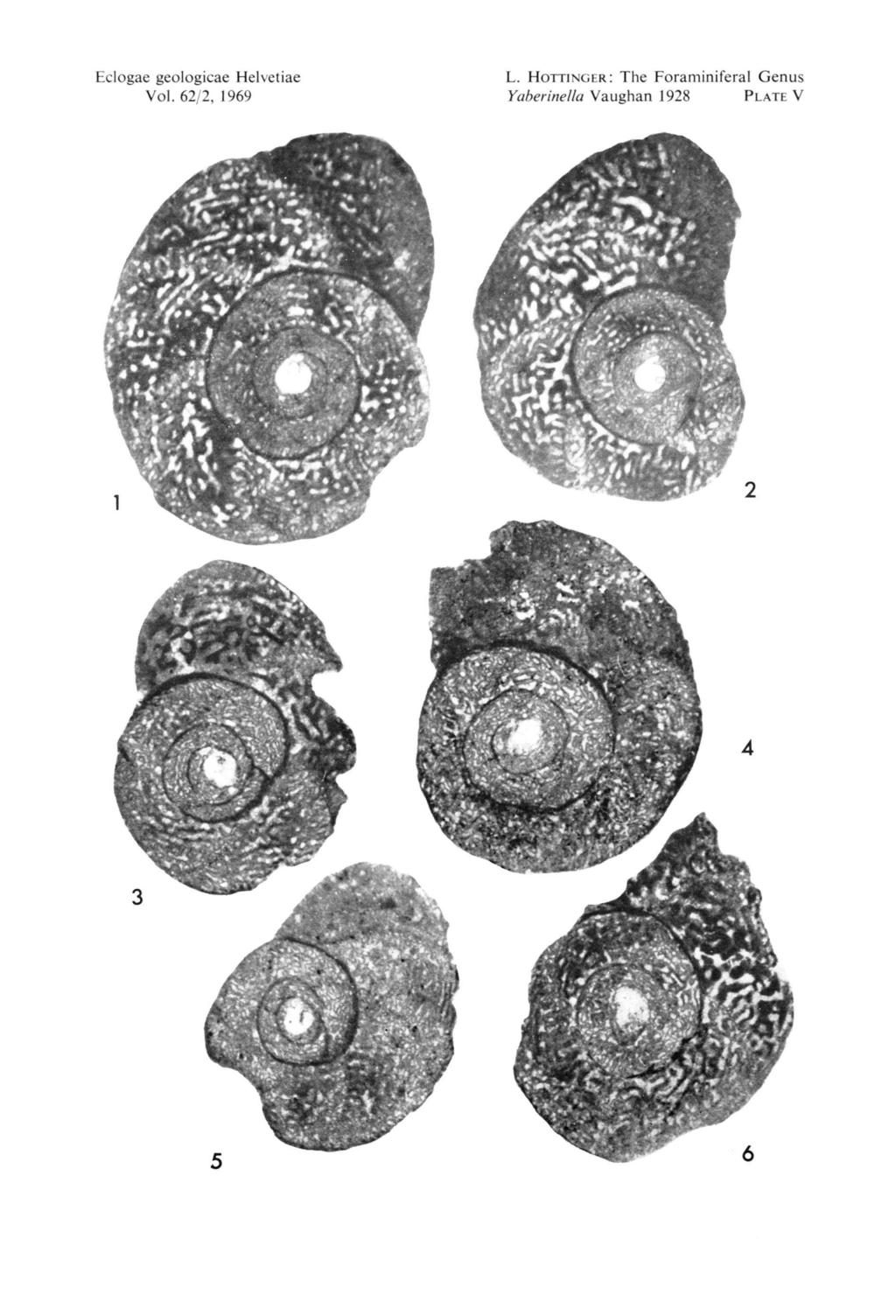 Eclogae geologicae Helvetiae Vol. 62/2, 1969 L.
