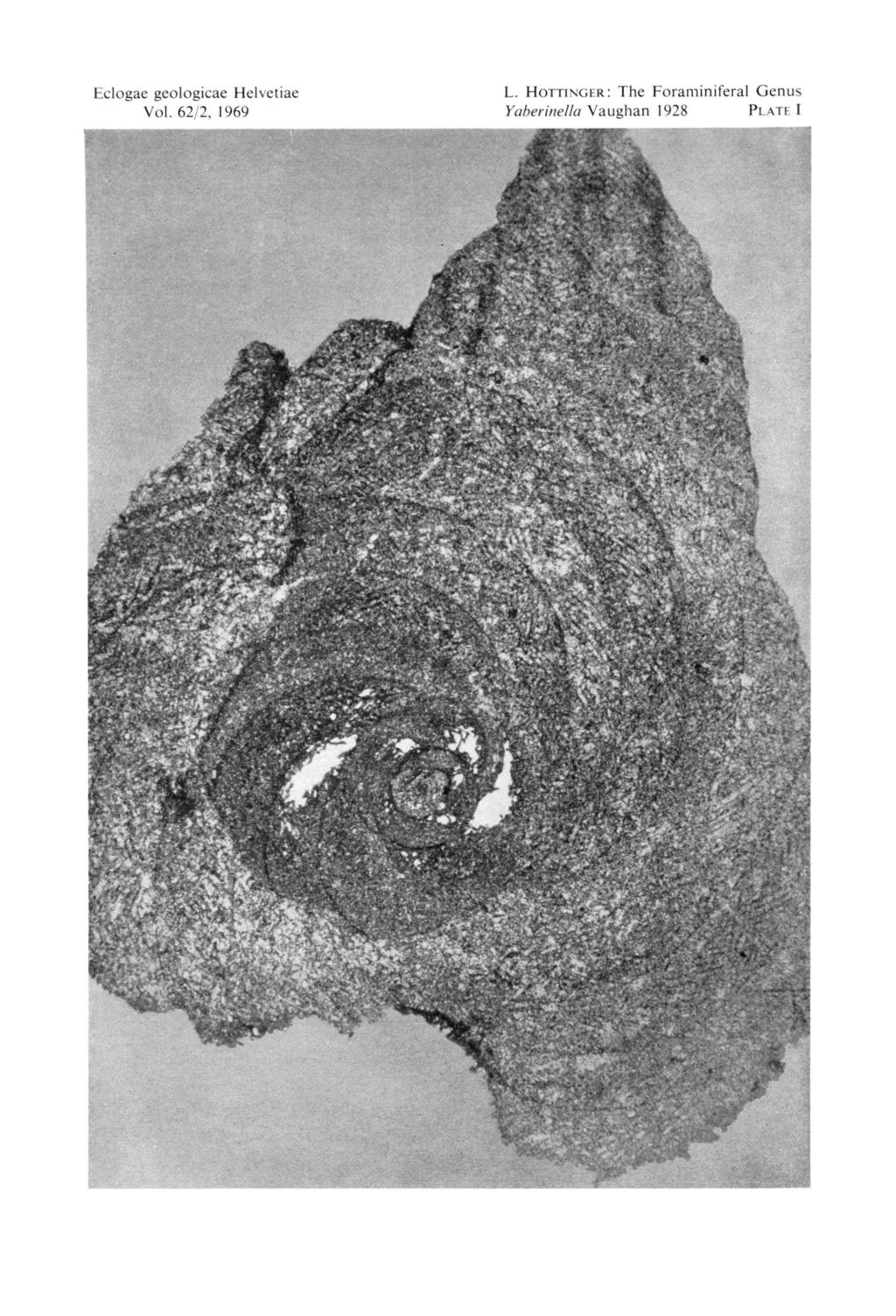 Eclogae geologicae Helvetiae Vol. 62/2, 1969 L.