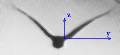 AIAA Paper 004-86 Figure 45. An image of a level-flying crane viewed by a camera directly from the front. Figure 48.